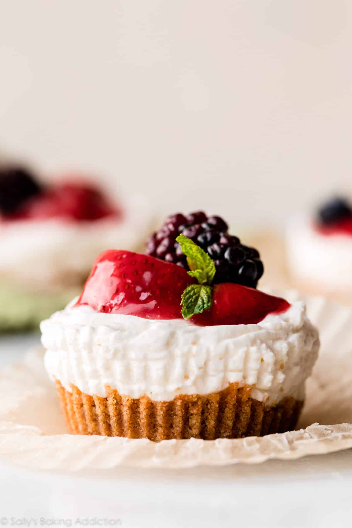No-Bake & Easy Mini Cheesecake Ideas for Quick Desserts